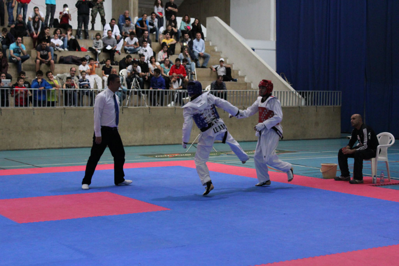 Taekwondo | Mont La Salle – Lebanon